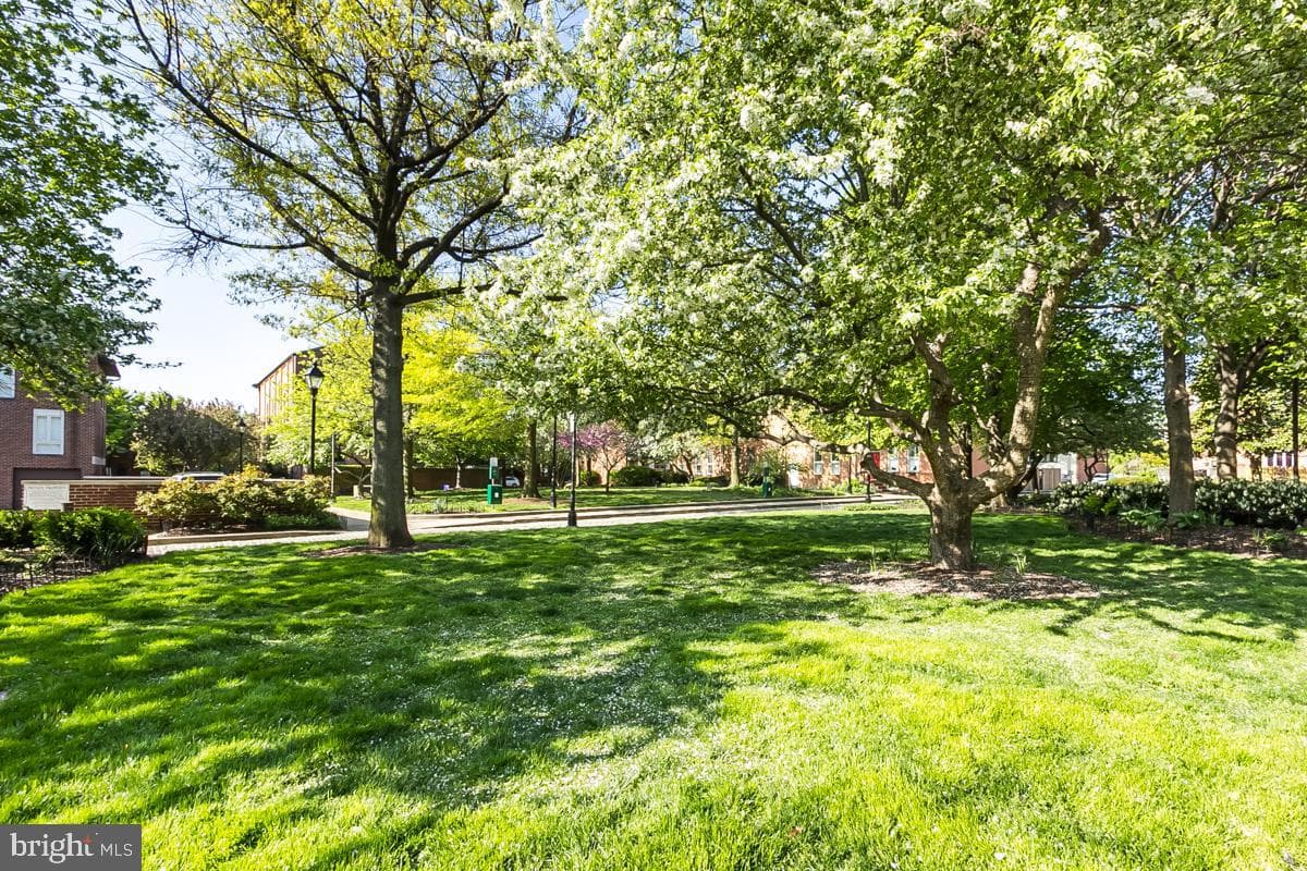 121 W Lee Street photo 59