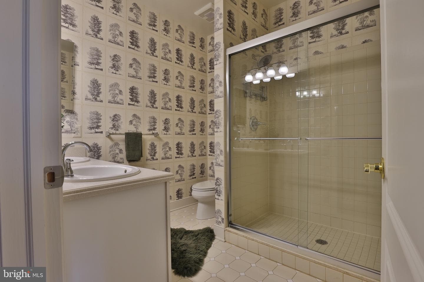 1114 Washingtonville Drive photo 38