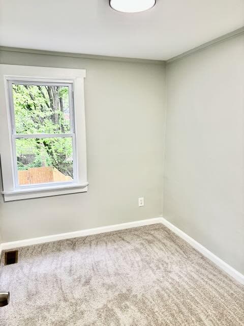 3013 Elizabeth Avenue photo 6