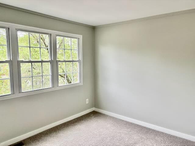 3013 Elizabeth Avenue photo 9