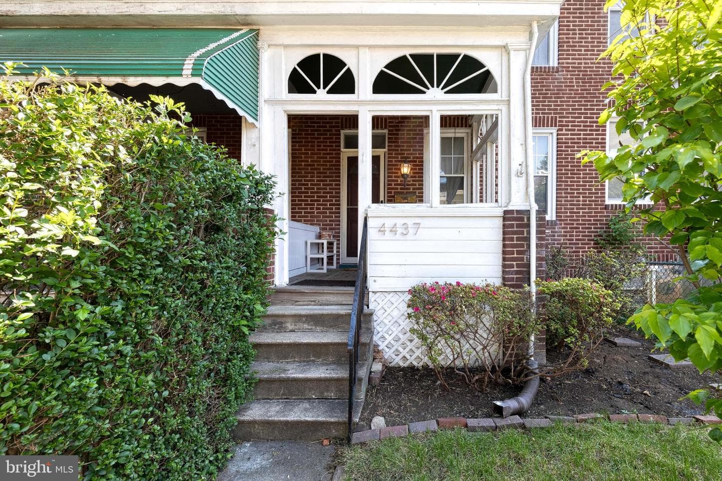 4437 Newport Avenue photo 3