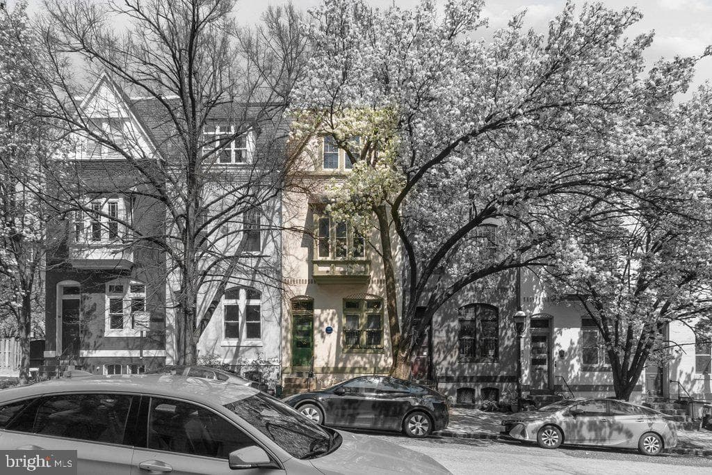 1215 John Street photo 34