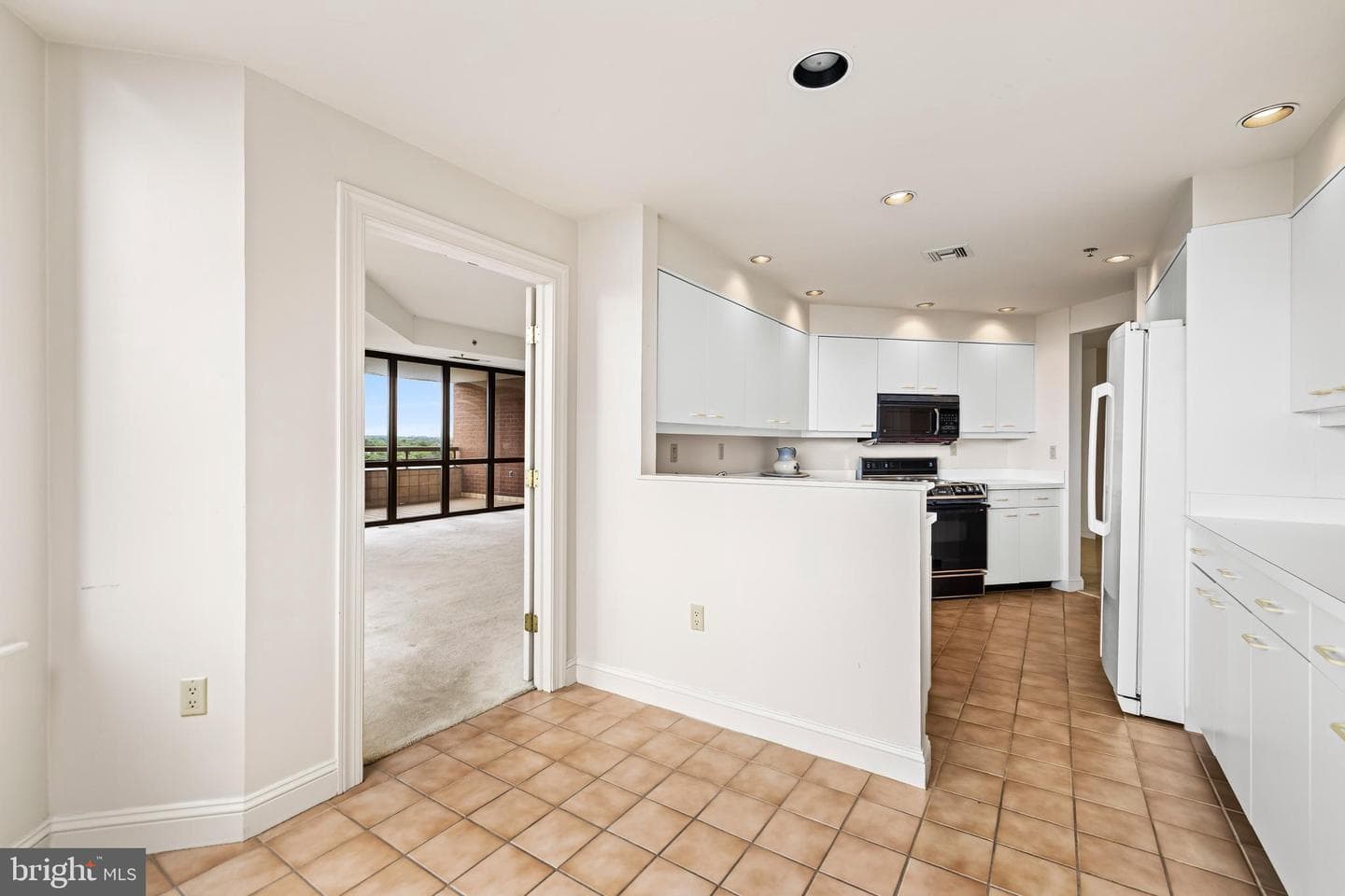 3704 N Charles Street #1403 photo 18