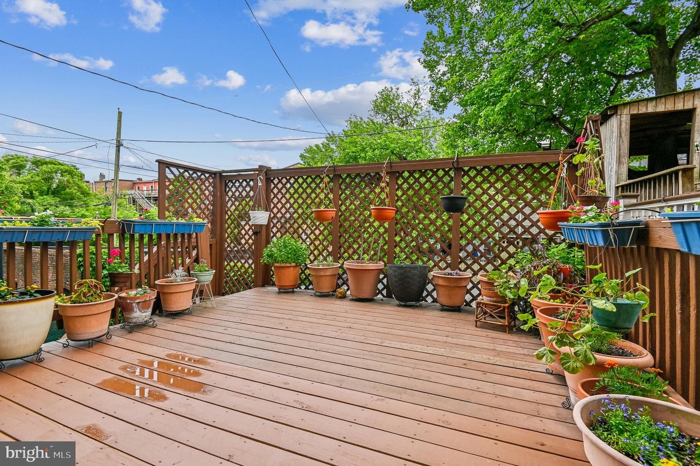 2444 Eutaw Place photo 28