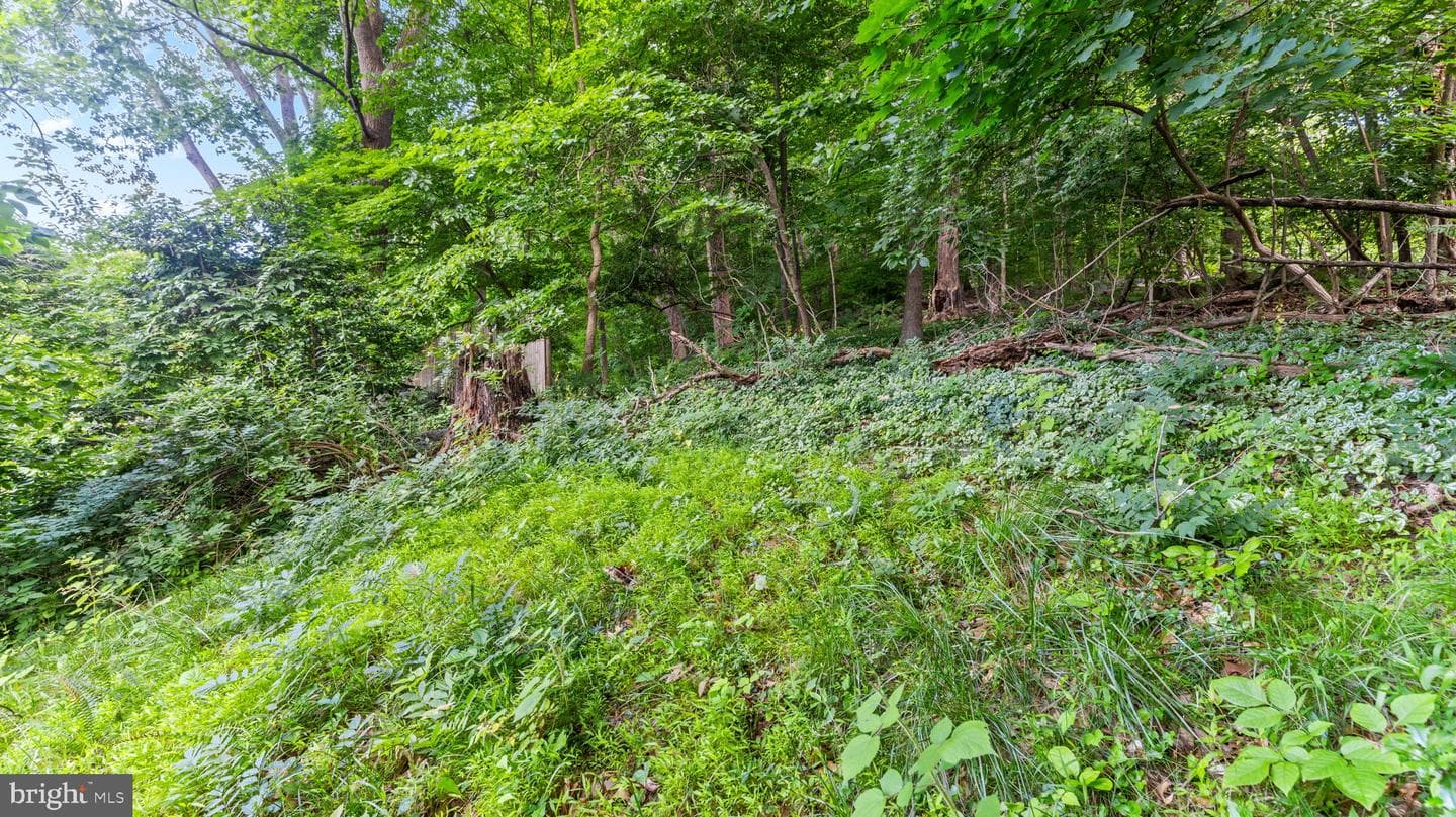 5025 Wetheredsville Road photo 40