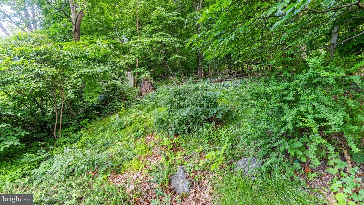 5025 Wetheredsville Road photo 55