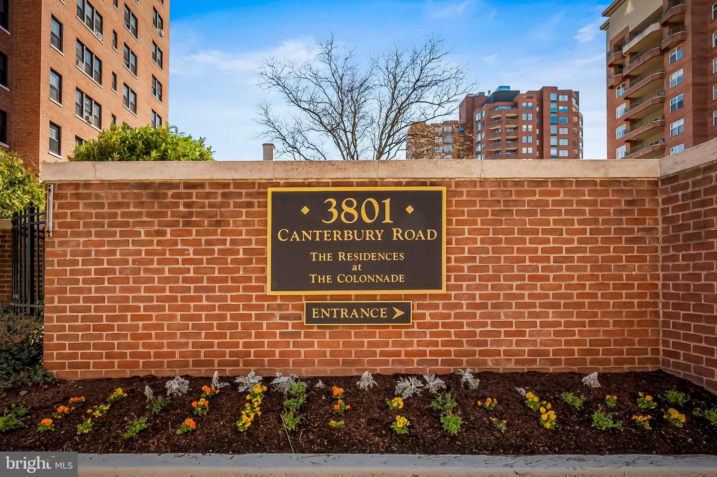 3801 Canterbury Road #506 photo 56