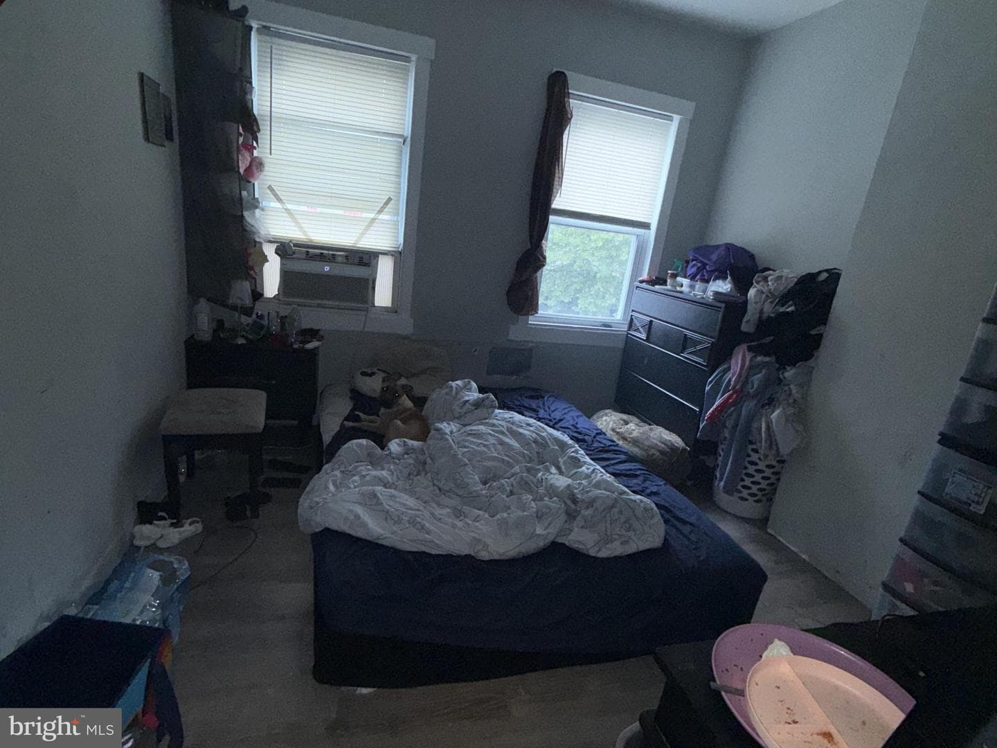 1605 Cole Street photo 7