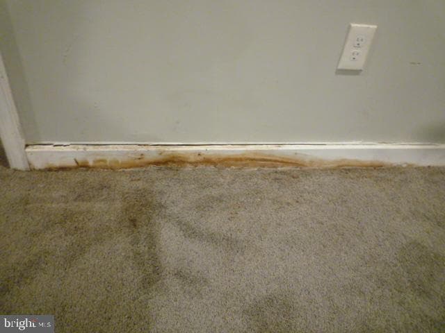 5118 Harford Road photo 35