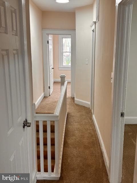 409 Poplar Grove St photo 10