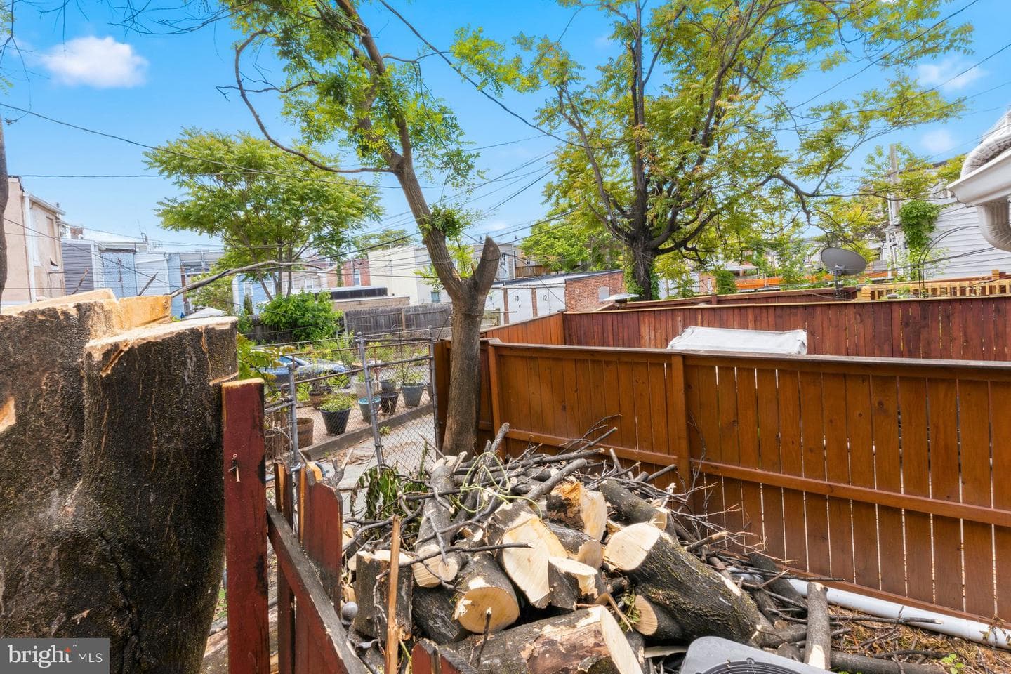 1101 Scott Street photo 7
