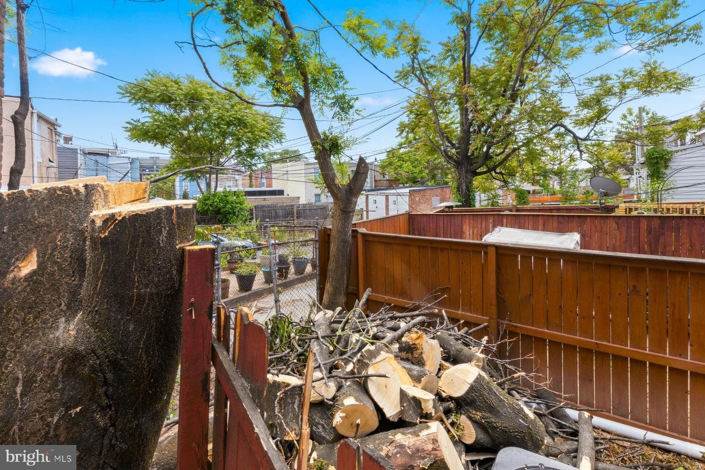 1101 Scott Street photo 8