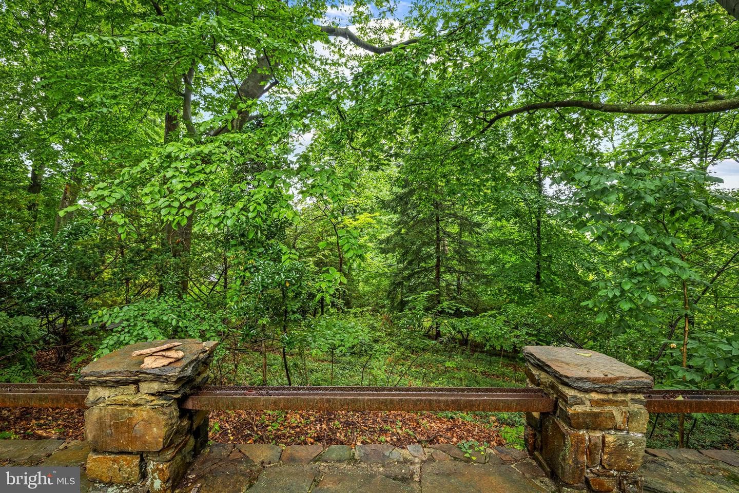 222 Longwood Road photo 63