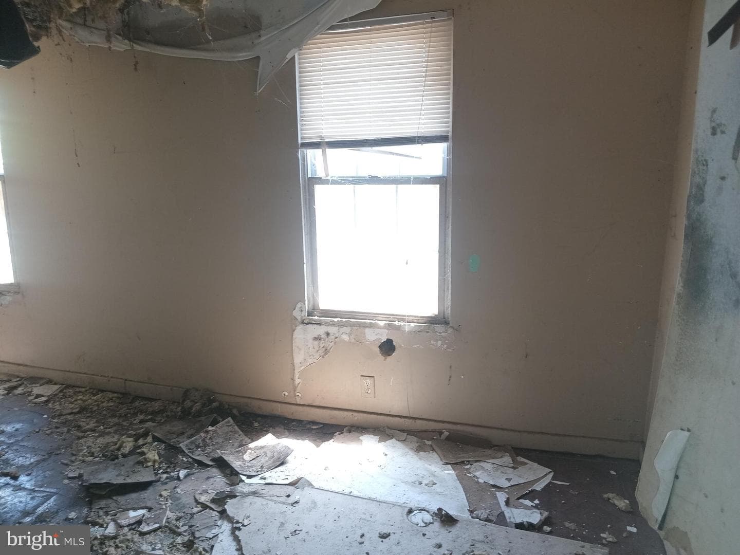 407 Font Hill Ave photo 6
