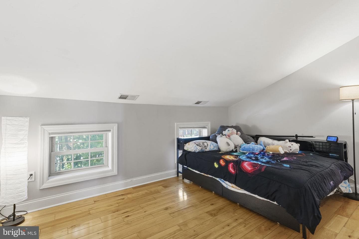 411 S Wolfe Street photo 22
