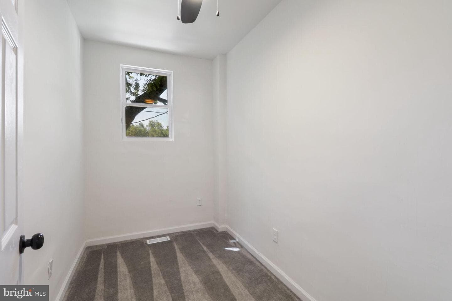 819 Cator Avenue photo 15