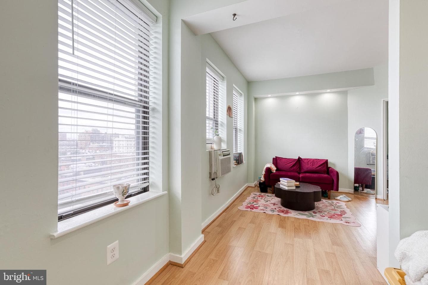 1001 Saint Paul Street #9f photo 19