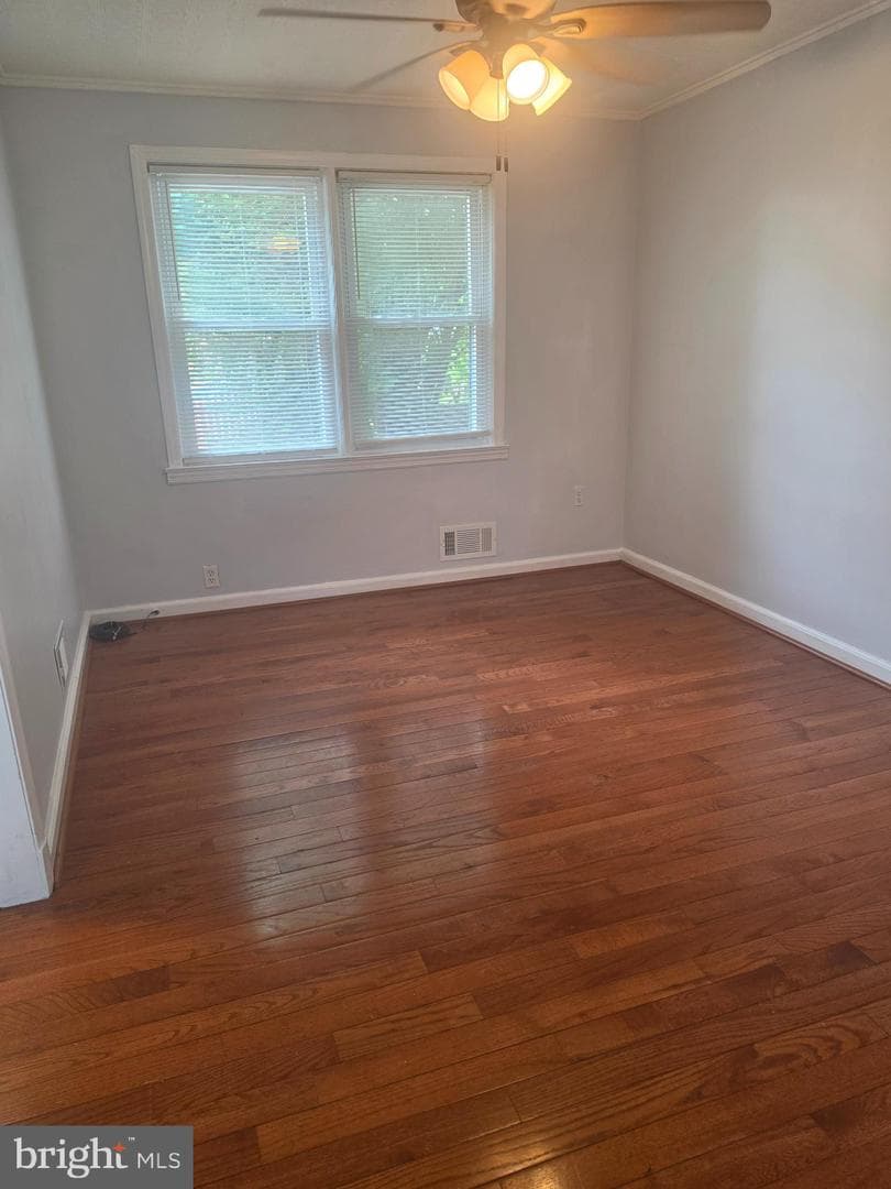 1235 Limit Avenue photo 6