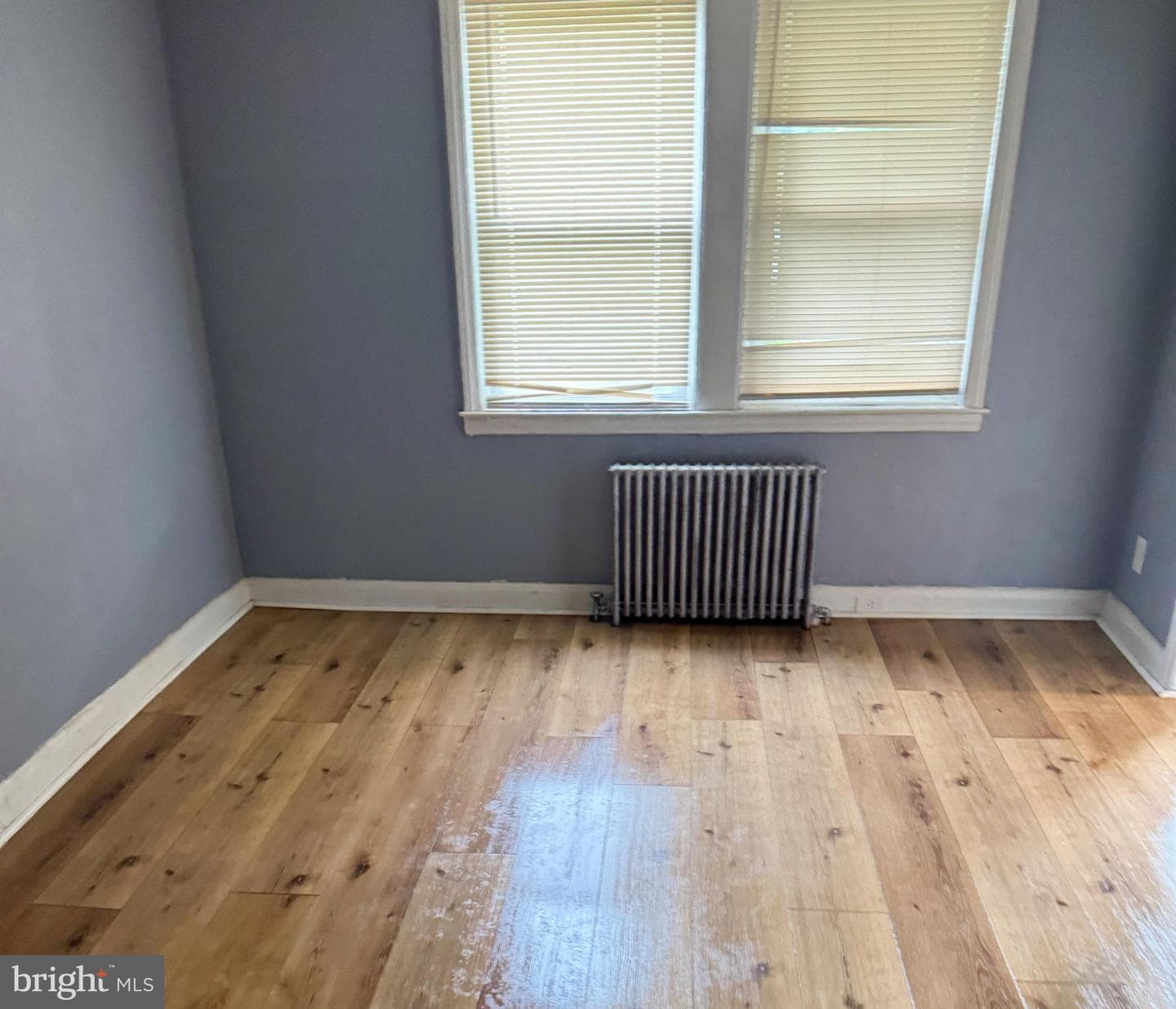 4112 Woodhaven Avenue photo 7