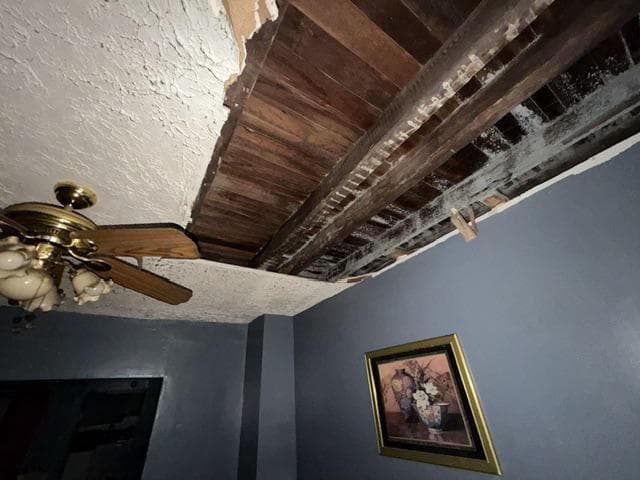 150 Irving Street photo 6