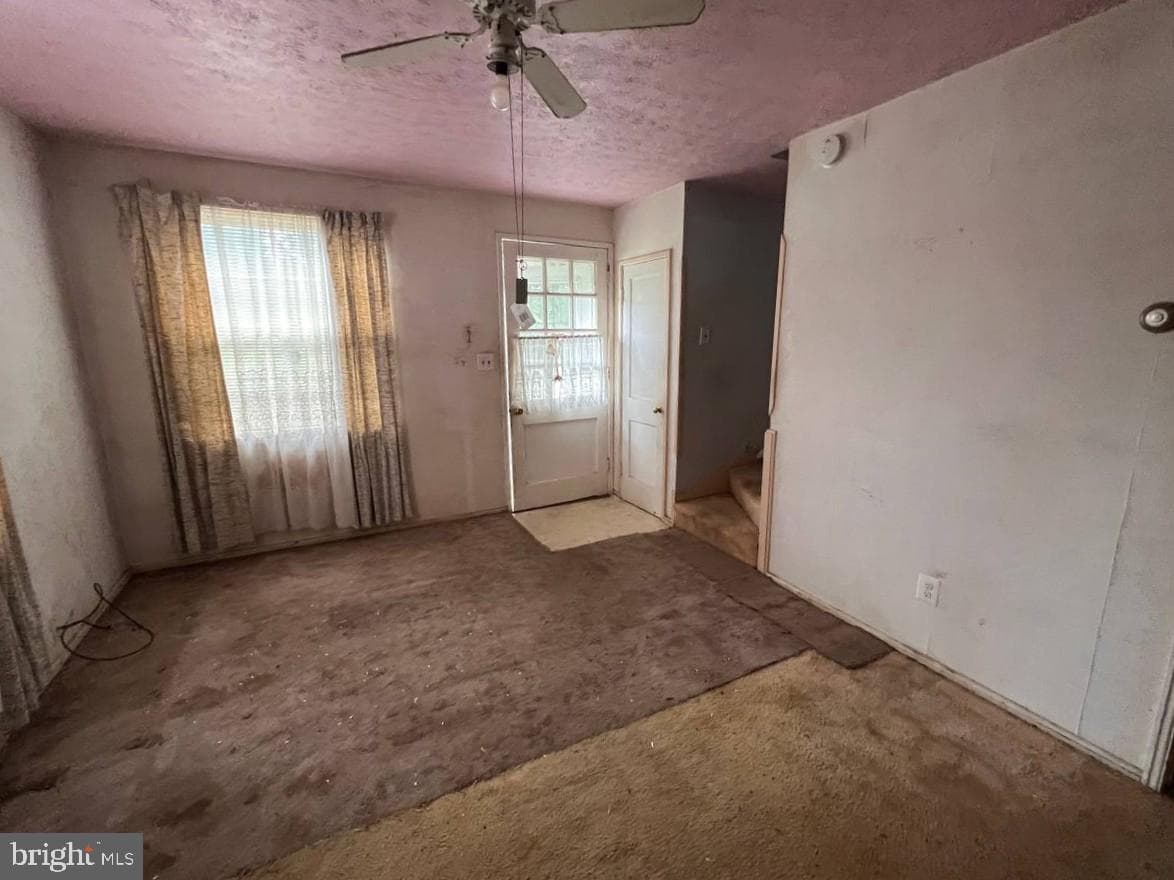 3722 10th Street photo 4
