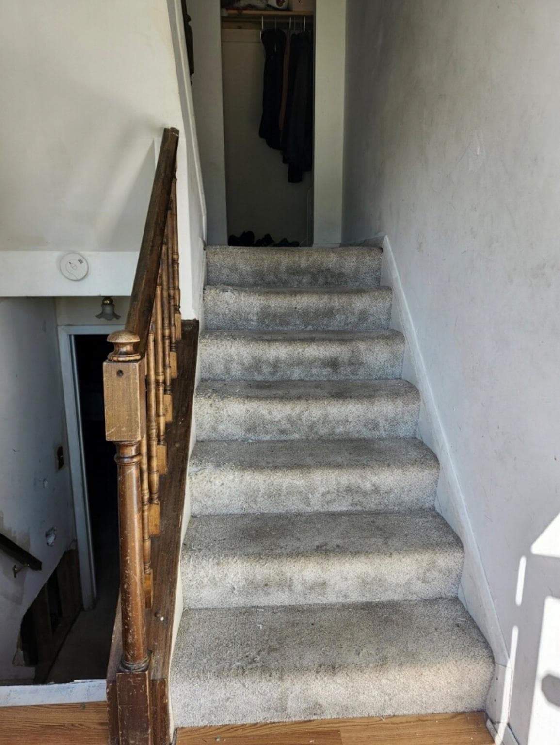 1204 Violette Avenue photo 4