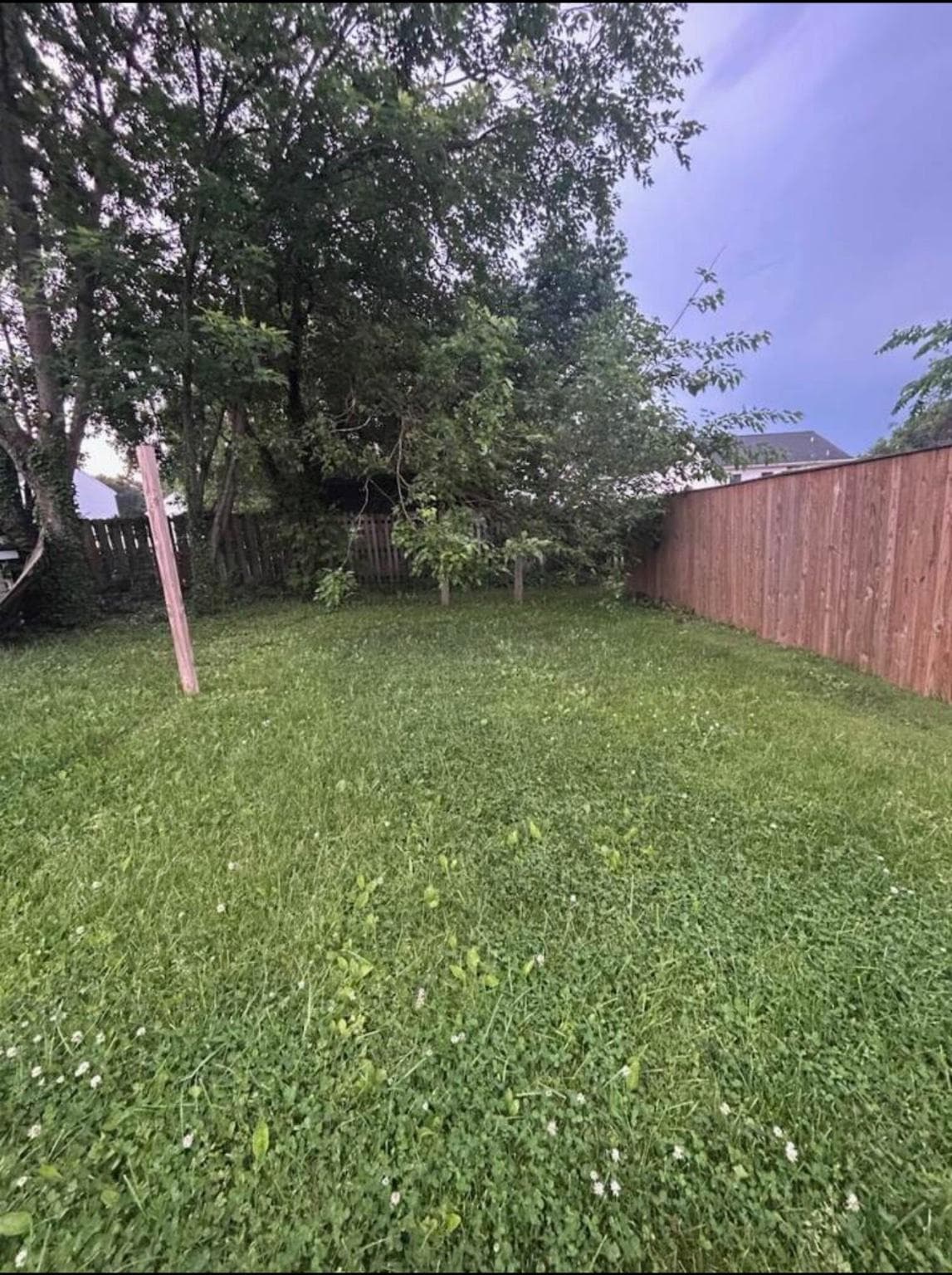 1204 Violette Avenue photo 7