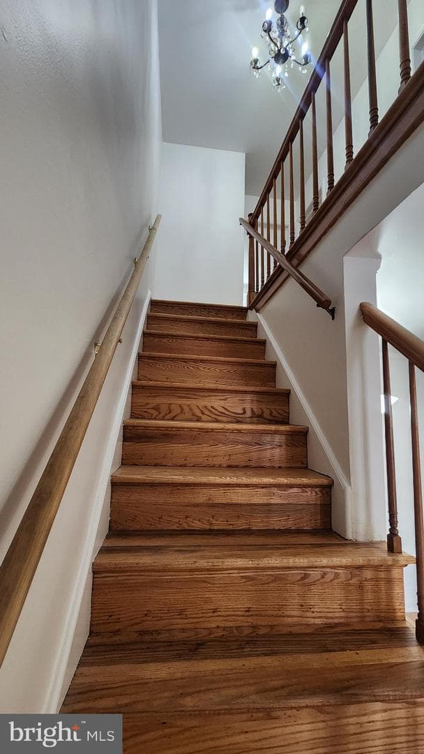 834 Umbra Street photo 11