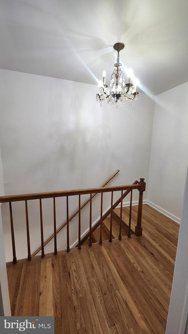 834 Umbra Street photo 9