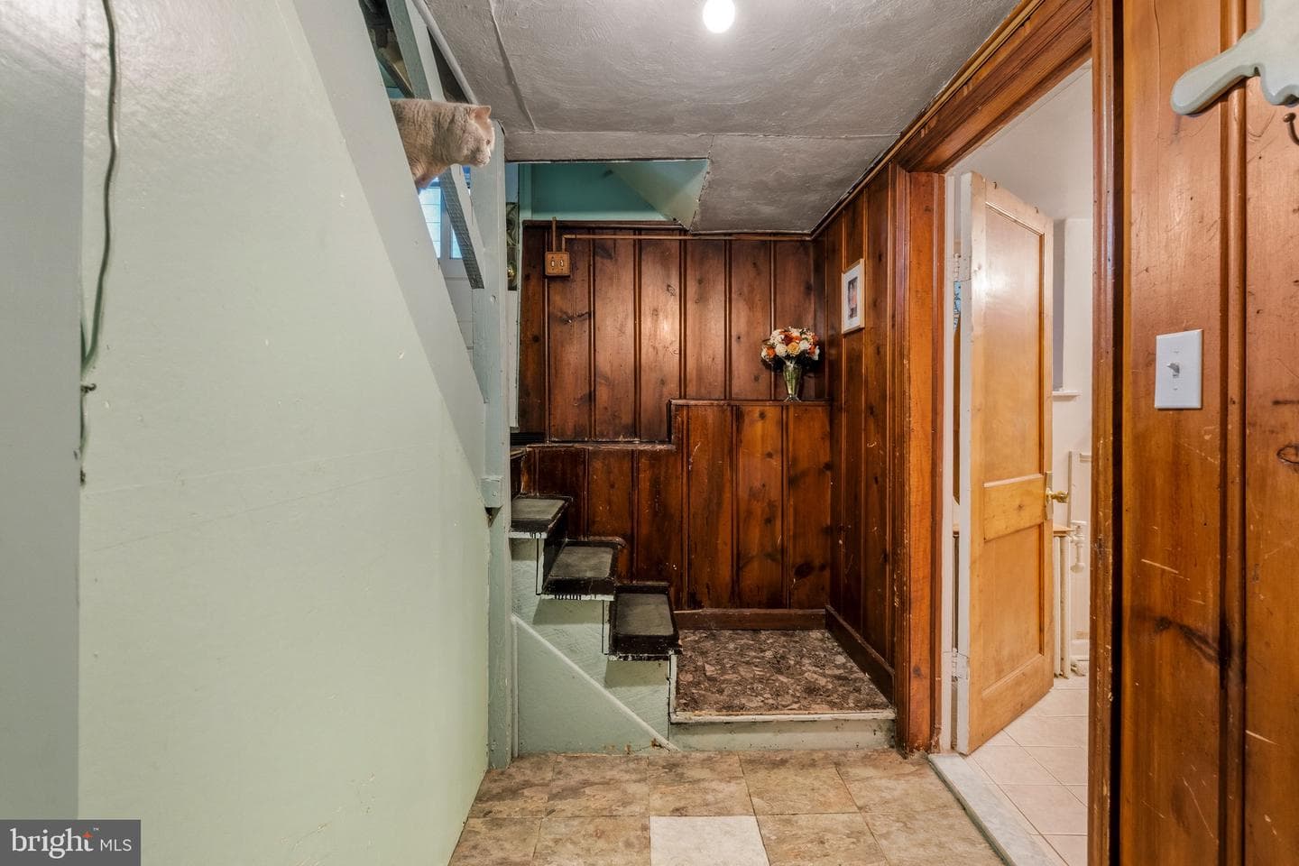 210 Mallow Hill Road photo 35
