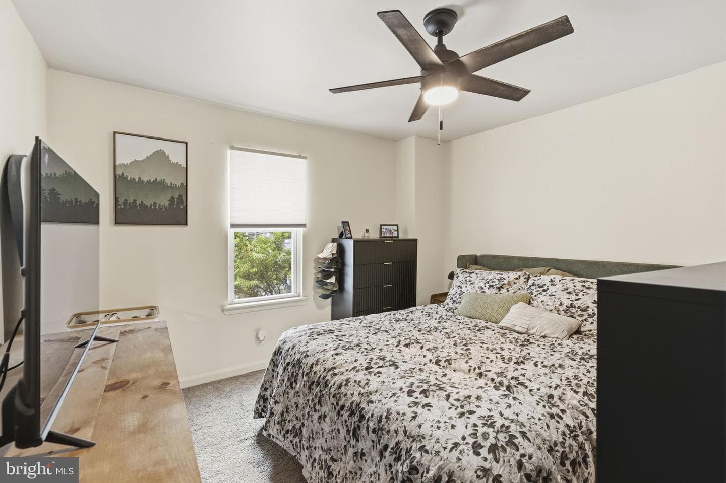 1427 Olive Street photo 15
