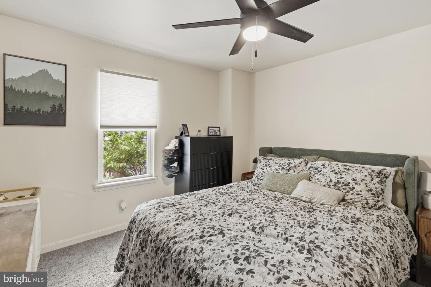 1427 Olive Street photo 16