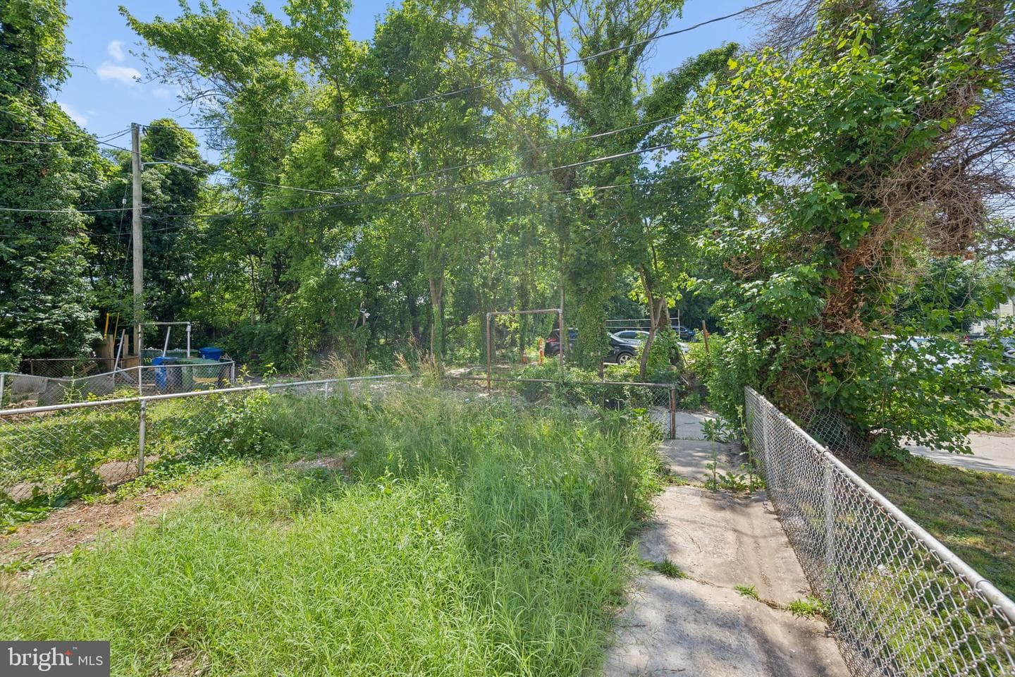 306 Lyndhurst Street photo 46