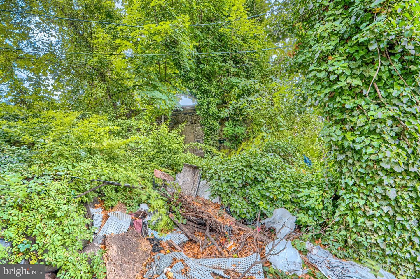 2613 Francis Street photo 5