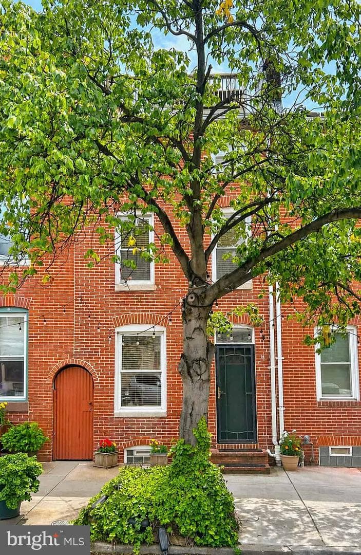 205 S Ann Street, Baltimore
