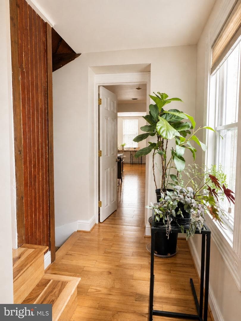 205 S Ann Street photo 25