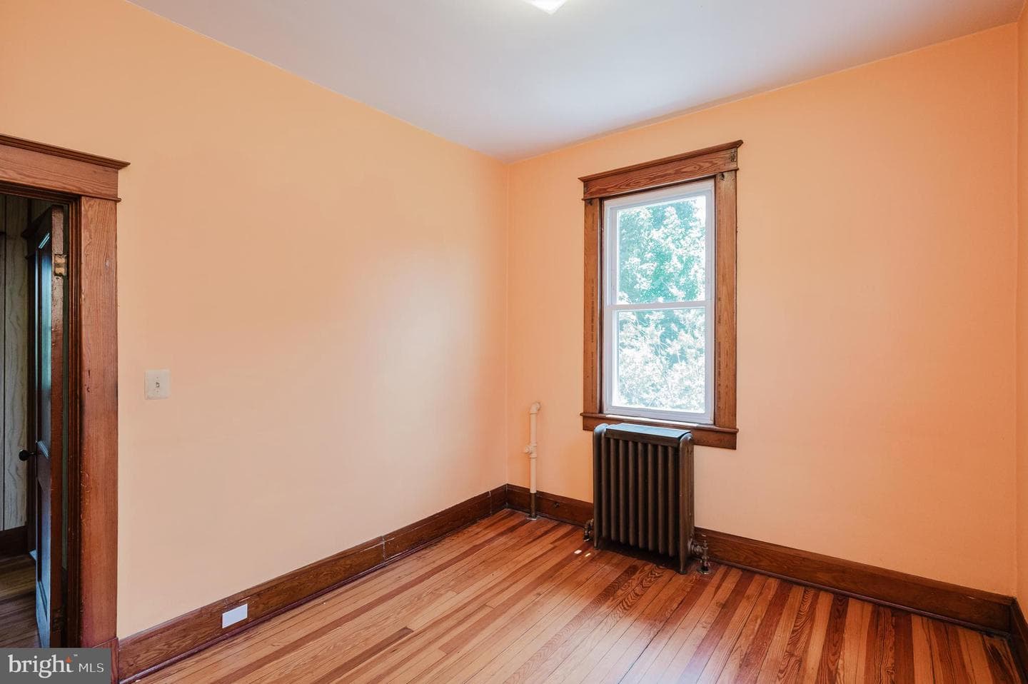 2911 Shirey Avenue photo 44
