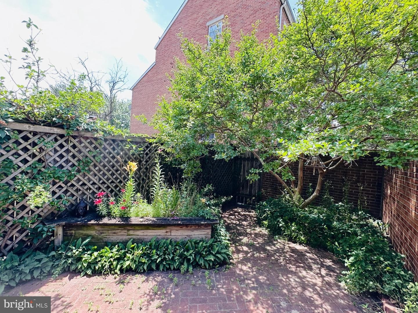 28 N Wolfe Street photo 6