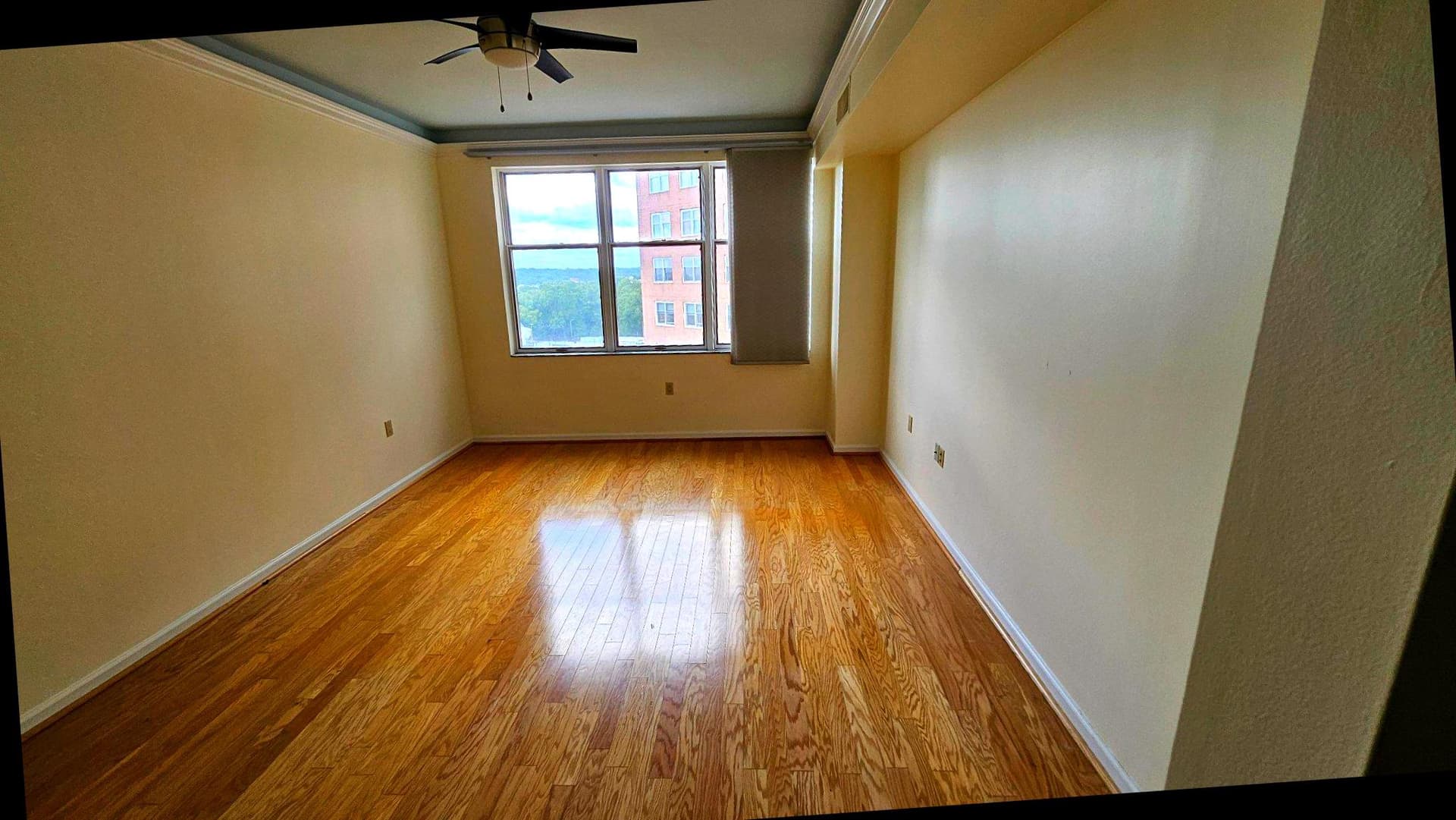 3801 Canterbury Road #703 photo 11