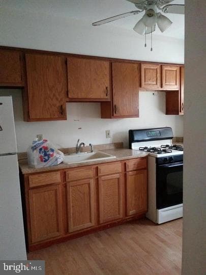 13 Abington Avenue photo 5
