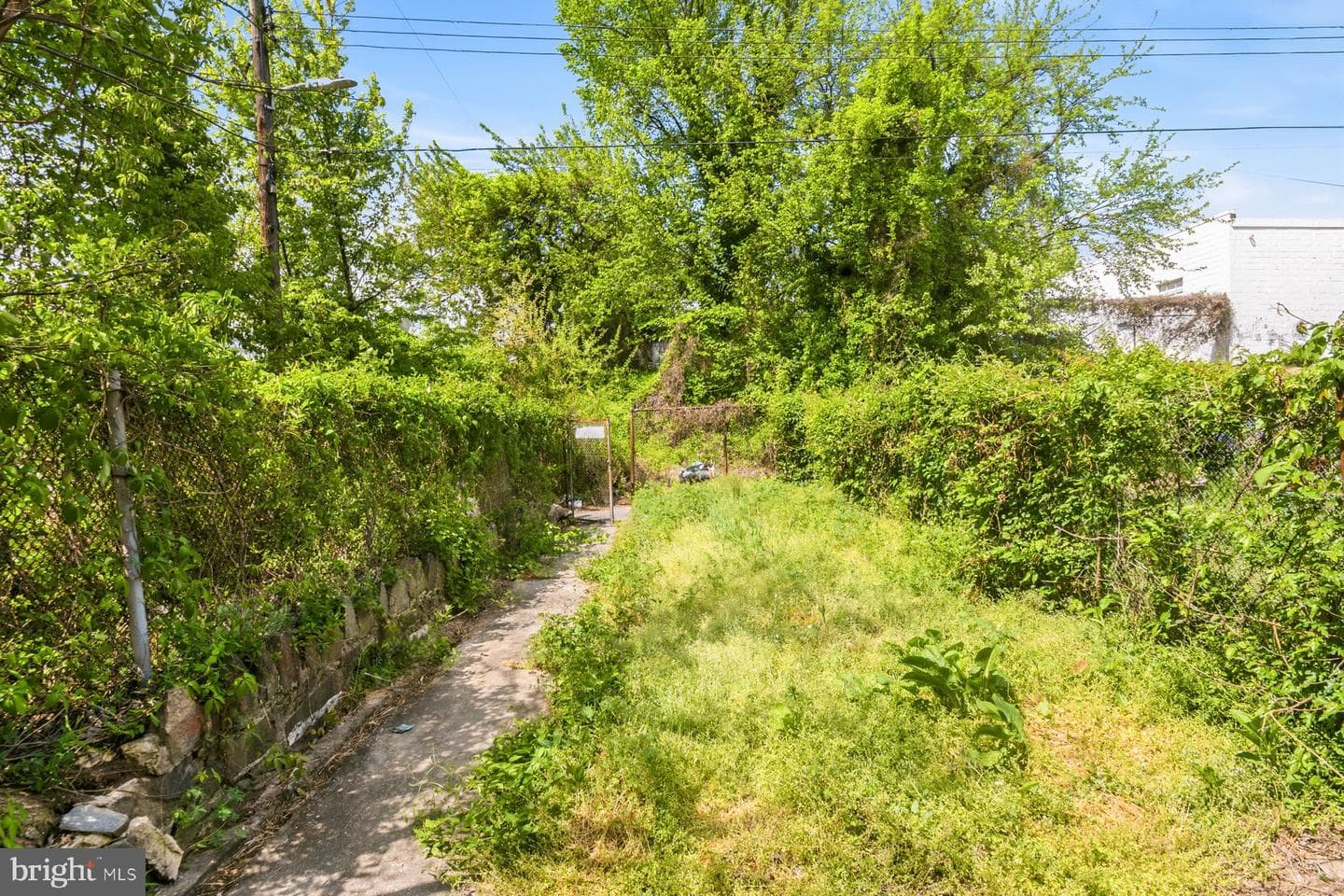 1016 N Luzerne Avenue photo 6