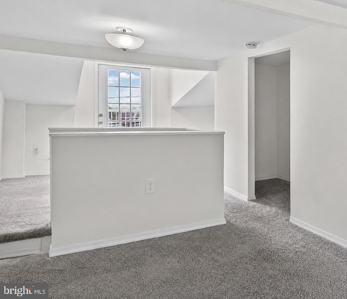 1504 William Street photo 34