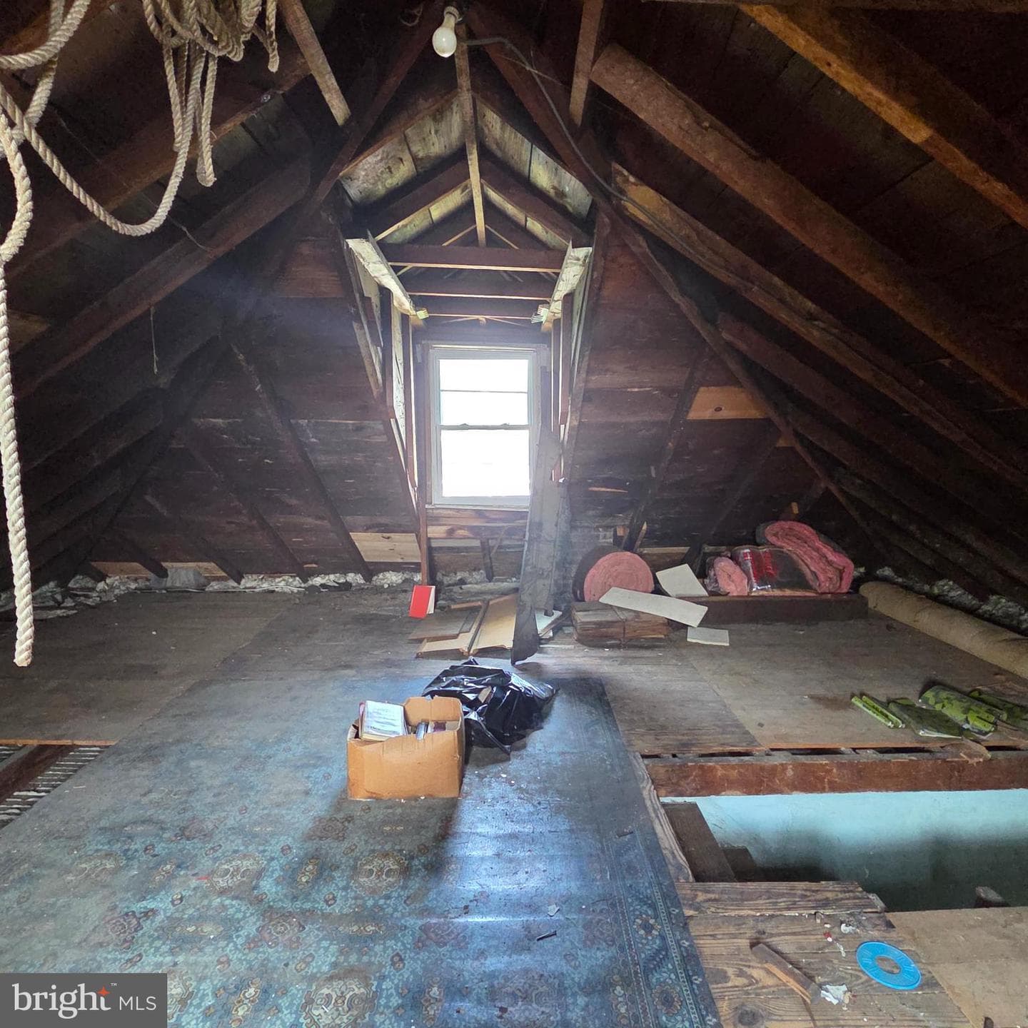 1701 Dundalk Avenue photo 14