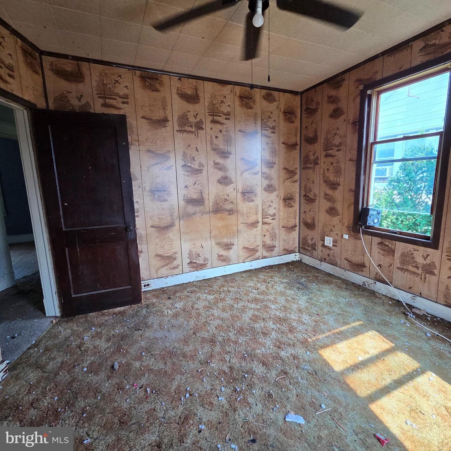 1701 Dundalk Avenue photo 9