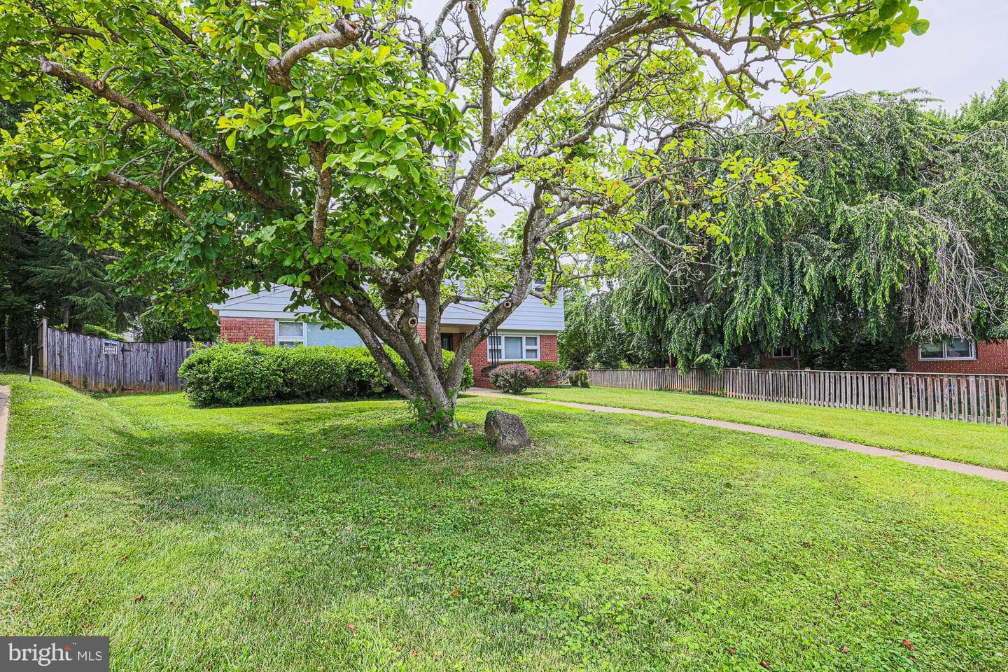 6306 Shelrick Drive photo 4