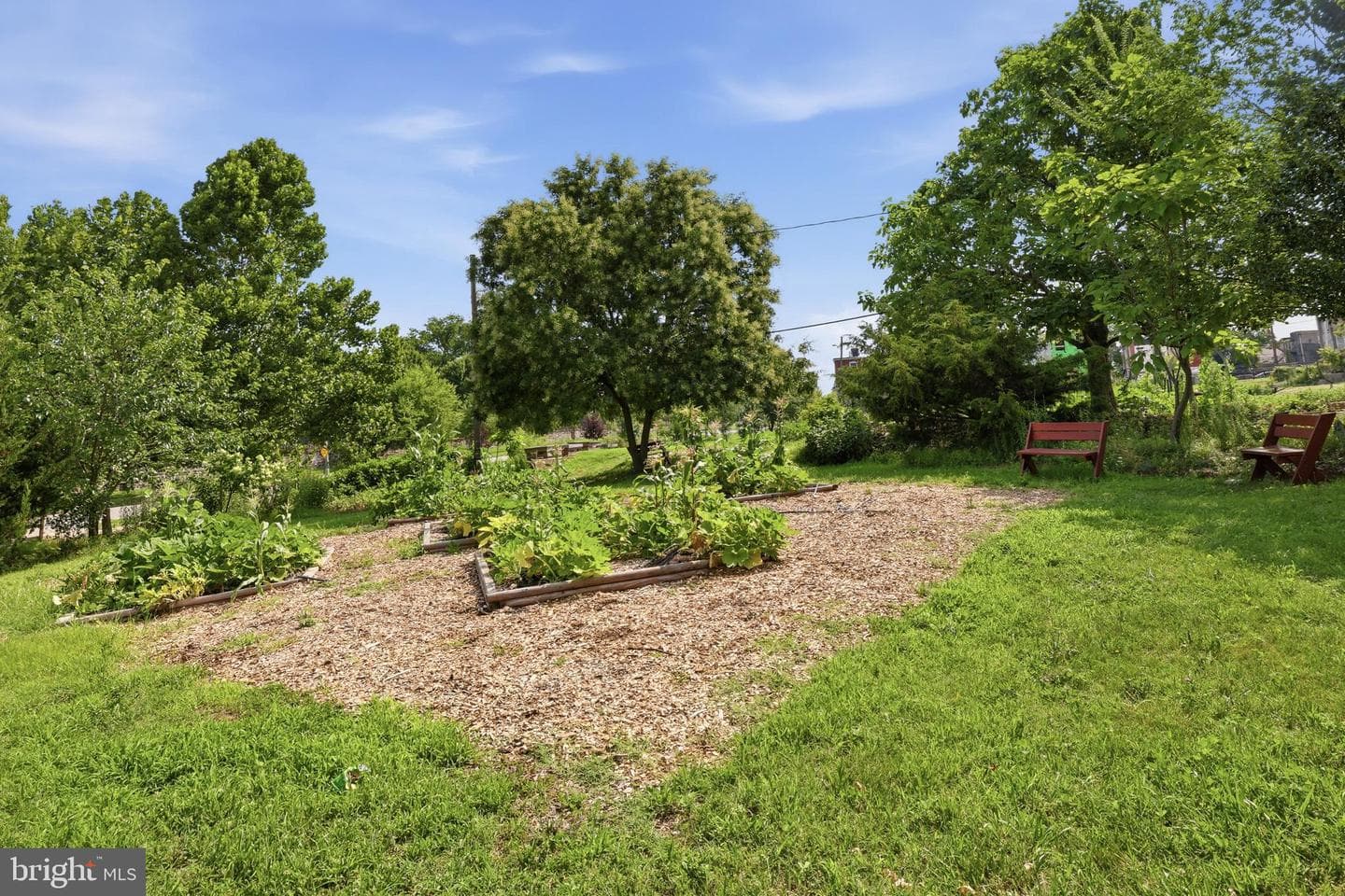 1308 Homewood Avenue photo 30