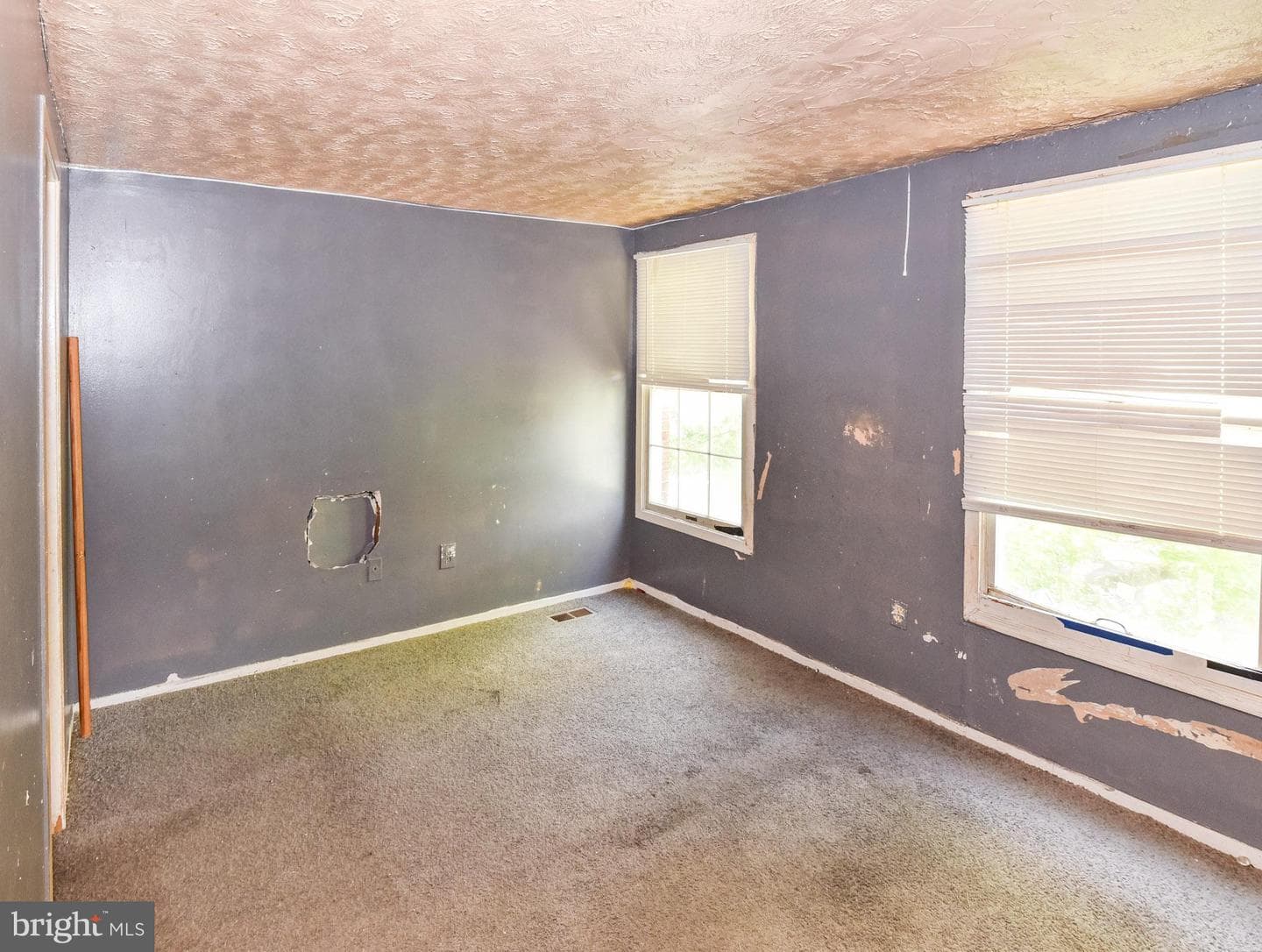 1063 W Lexington Street photo 29