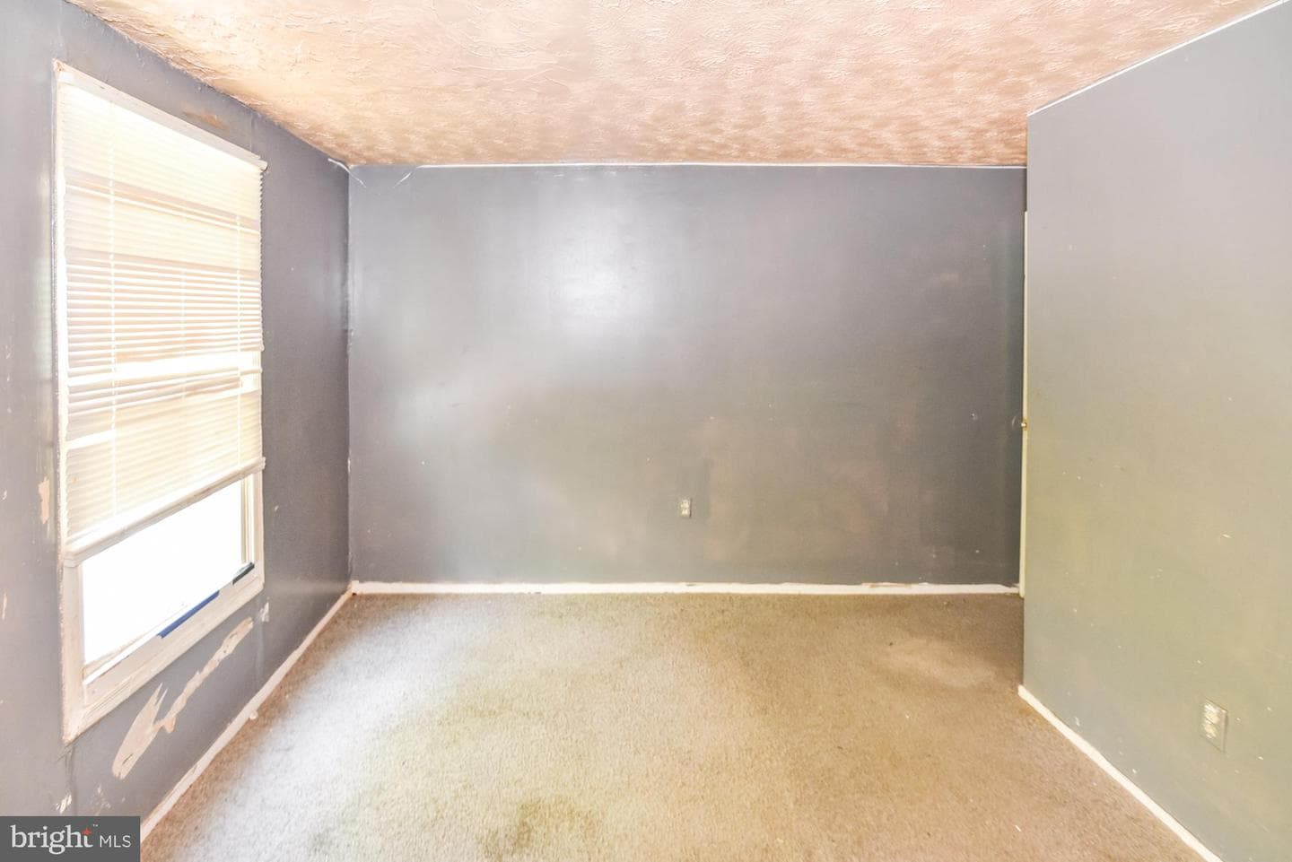 1063 W Lexington Street photo 30
