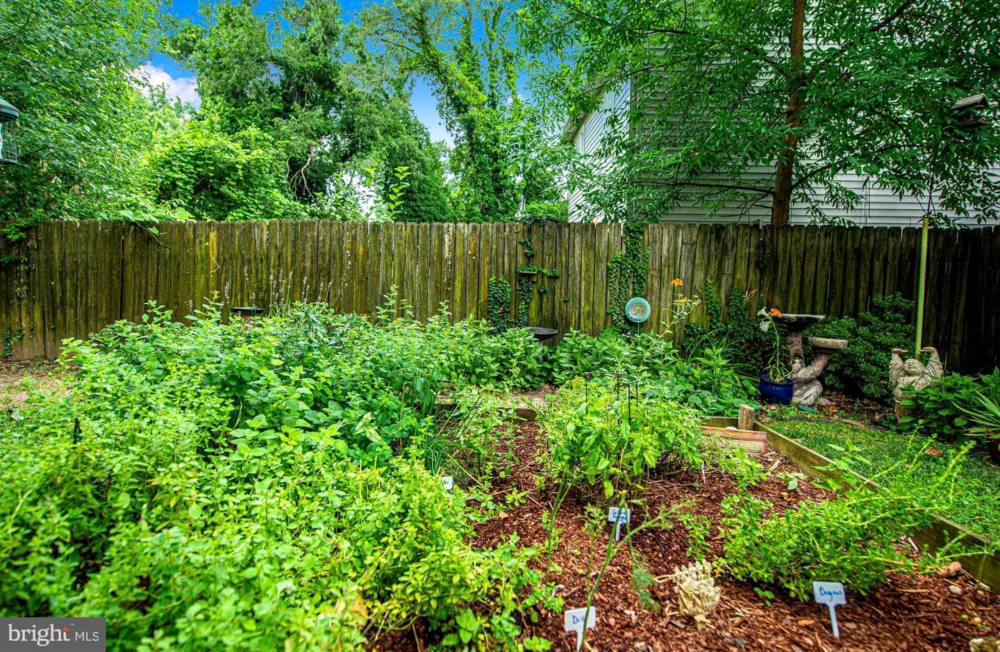 3903 White Avenue photo 30