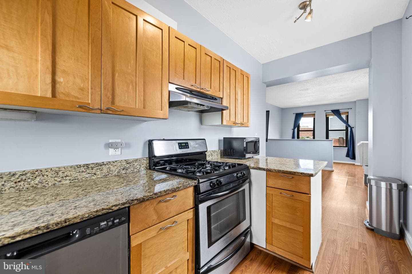 1001 Saint Paul Street #8b photo 13